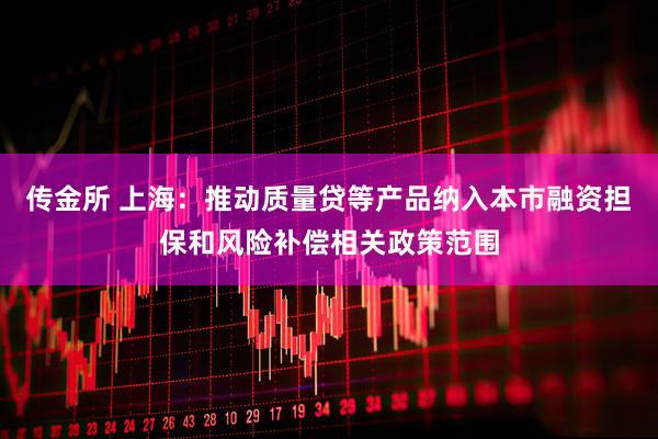 传金所 上海：推动质量贷等产品纳入本市融资担保和风险补偿相关政策范围