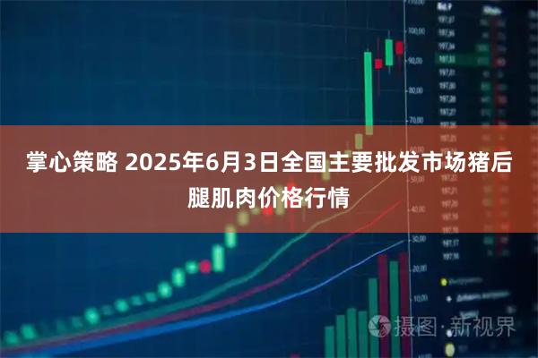 掌心策略 2025年6月3日全国主要批发市场猪后腿肌肉价格行情